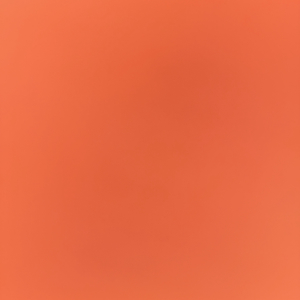 njoftime-Gazeta-Celesi__1782645317798_1209__1814171___cover.jpeg