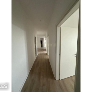 njoftime-Gazeta-Celesi__1782826195515_6576__1815548__.jpeg
