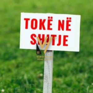 njoftime-Gazeta-Celesi__1782899741339_4475__1816009___cover.jpeg