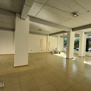 njoftime-Gazeta-Celesi__1782913089085_8833__1816247__.jpeg