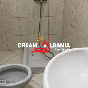 njoftime-Gazeta-Celesi__1782916280972_7595__1816341__.jpg
