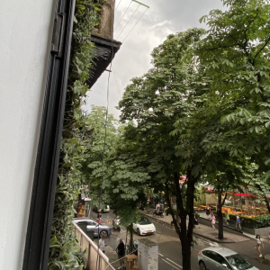 njoftime-Gazeta-Celesi__1783343458465_7119__1818706__.jpeg