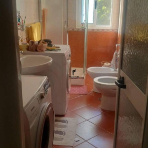 njoftime-Gazeta-Celesi__1783348188448_5837__1818827__.jpeg