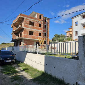 njoftime-Gazeta-Celesi__1783504638145_5354__1819686__.jpeg