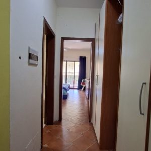 njoftime-Gazeta-Celesi__1783691614855_5306__1821269__.jpeg