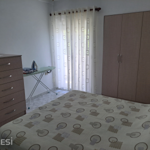 njoftime-Gazeta-Celesi__1783882322794_6463__1821853__.jpeg