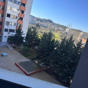 njoftime-Gazeta-Celesi__1783938286048_1182__1822161__.jpg