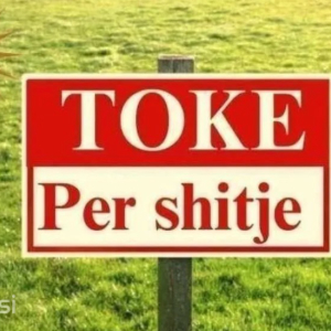 njoftime-Gazeta-Celesi__1783945202966_7308__1822281___cover.jpeg