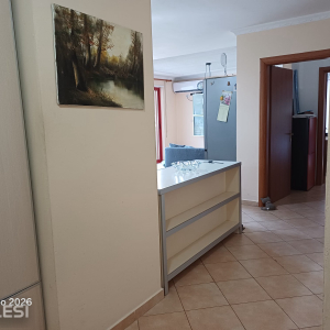 njoftime-Gazeta-Celesi__1784649302745_5203__1826697__.jpeg