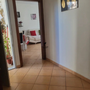 njoftime-Gazeta-Celesi__1784717871075_4423__1827017__.jpeg