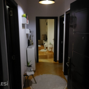 njoftime-Gazeta-Celesi__1784735802502_3700__1827234__.jpeg