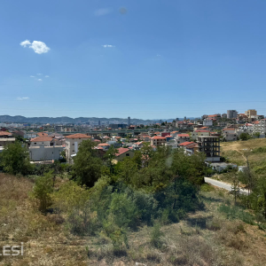 njoftime-Gazeta-Celesi__1784826498771_1520__1827797__.jpeg