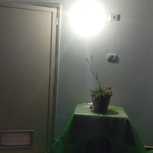 njoftime-Gazeta-Celesi__1784879973027_7953__1827516__.jpeg