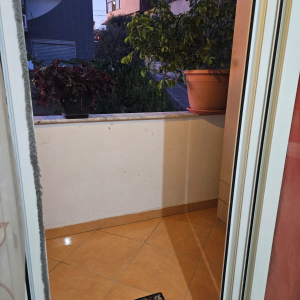 njoftime-Gazeta-Celesi__1785165871535_7447__1830538__.jpeg