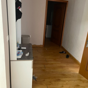 njoftime-Gazeta-Celesi__1785226403612_3955__1830732__.jpeg