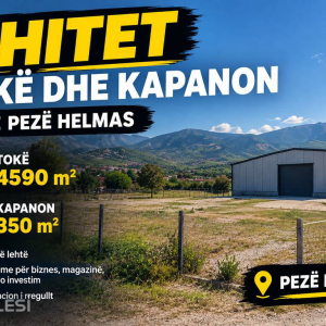 njoftime-Gazeta-Celesi__1788819319922_9754__1851914___cover.jpg