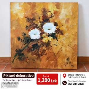 njoftime-Gazeta-Celesi__1789119947313_1510__1853631___cover.jpg