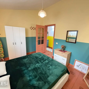 njoftime-Gazeta-Celesi__1789472538786_5066__1855367__.jpg