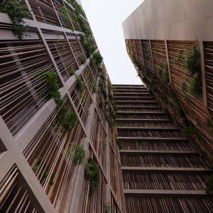 njoftime-Gazeta-Celesi__1789480162426_4265__1855509__.jpg