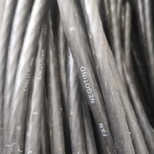 njoftime-Gazeta-Celesi__1789671006597_7608__1857544__.jpg