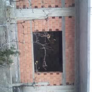 njoftime-Gazeta-Celesi__1789671014705_1858__1857545__.jpg