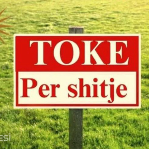 njoftime-Gazeta-Celesi__1789745899773_7188__1857988___cover.jpg