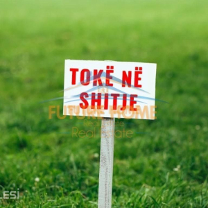 njoftime-Gazeta-Celesi__1790068570915_3040__1859173___cover.jpg