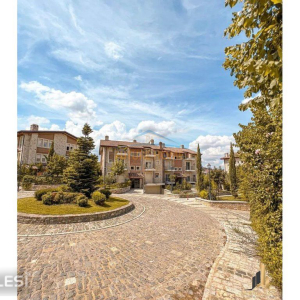 njoftime-Gazeta-Celesi__1790170491366_1964__1860158__.jpg