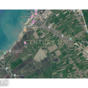 njoftime-Gazeta-Celesi__1790236183173_4907__1860354___cover.jpg