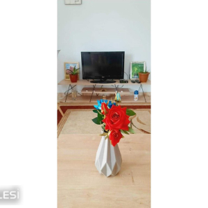 njoftime-Gazeta-Celesi__1790341269740_5045__1861279__.jpg