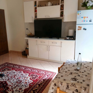 njoftime-Gazeta-Celesi__1790420518093_6746__1861666__.jpg