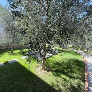 njoftime-Gazeta-Celesi__1790458584110_7263__1861780__.jpg