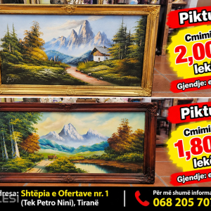 njoftime-Gazeta-Celesi__1790599368301_9285__1862176___cover.jpg