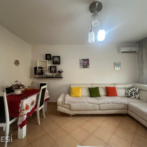 njoftime-Gazeta-Celesi__1790863978512_9093__1865113__.jpg
