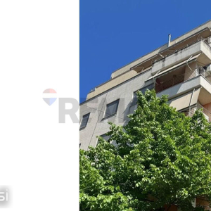 njoftime-Gazeta-Celesi__1790938331509_1423__1865912___cover.jpg