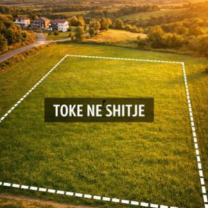njoftime-Gazeta-Celesi__1791192022747_3119__1866924___cover.jpg