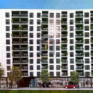 njoftime-Gazeta-Celesi__1791200235834_7533__1867143___cover.jpg
