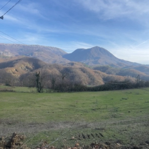 njoftime-Gazeta-Celesi__1791267705428_8936__1867531__.jpg