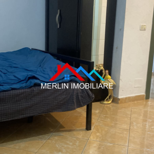 njoftime-Gazeta-Celesi__1791302581989_7470__1868273__.jpg
