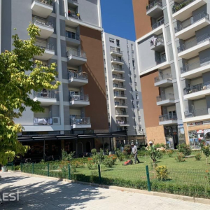njoftime-Gazeta-Celesi__1791798691205_3240__1871254___cover.jpg