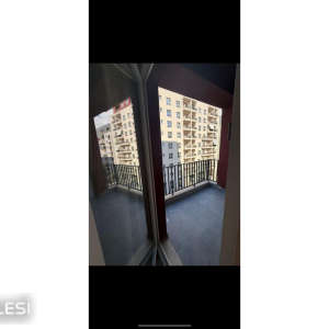 njoftime-Gazeta-Celesi__1792230521350_9107__1873938__.jpg