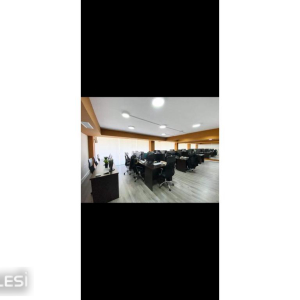njoftime-Gazeta-Celesi__1792232251601_5622__1873975__.jpg