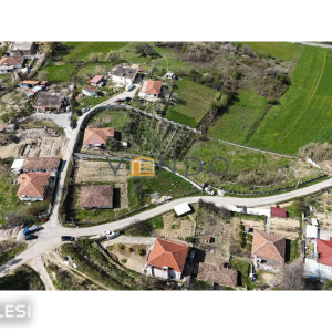 njoftime-Gazeta-Celesi__1792233388230_4983__1874022__.jpg