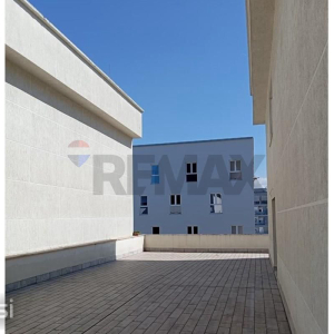 njoftime-Gazeta-Celesi__1792401153788_8588__1874426__.jpg
