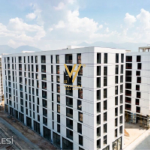 njoftime-Gazeta-Celesi__1792483289113_9647__1874966___cover.jpg