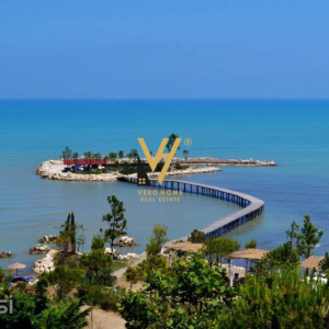 njoftime-Gazeta-Celesi__1793262011424_6899__1879717___cover.jpg